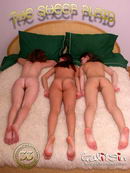 Inna & Valentina & Vanna - The sheep plaid