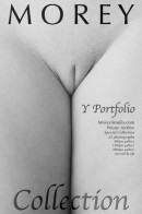 Anne & Athena & Cleo & Courtney & Iris & Jade & Justine & Natalie & Tabitha & Trisha & Yashin & Yelena & Yolanda & Zille - Y Portfolio