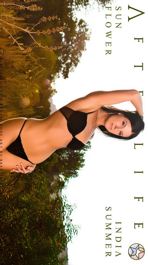 India Summer - `Sun Flower` - by Brett Michael Nelson for ANGELAFTERLIFE India Summer - `Sun Flower` - by Brett Michael Nelson for ANGELAFTERLIFE