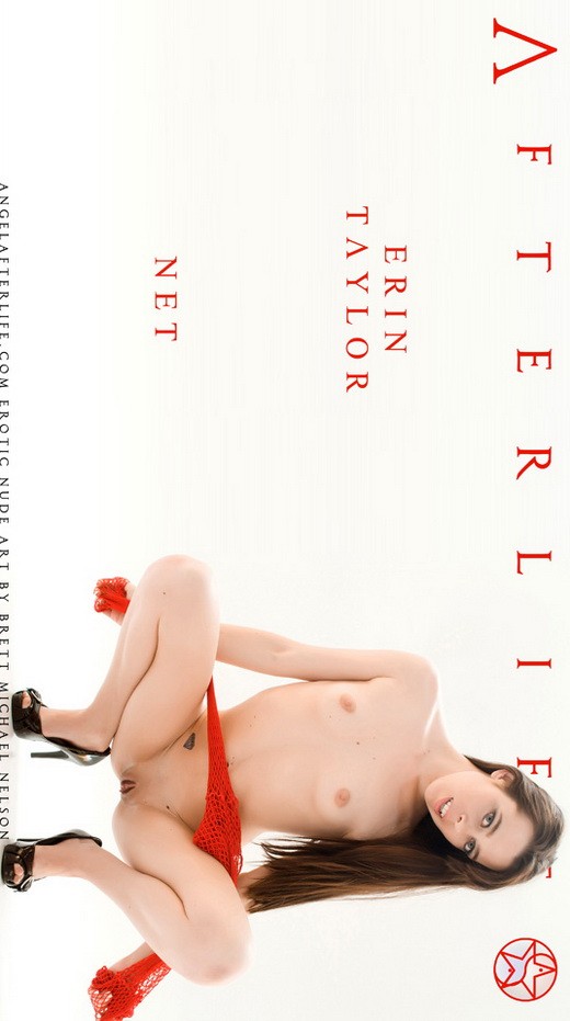 Erin Taylor - `Net` - by Brett Michael Nelson for ANGELAFTERLIFE Erin Taylor - `Net` - by Brett Michael Nelson for ANGELAFTERLIFE