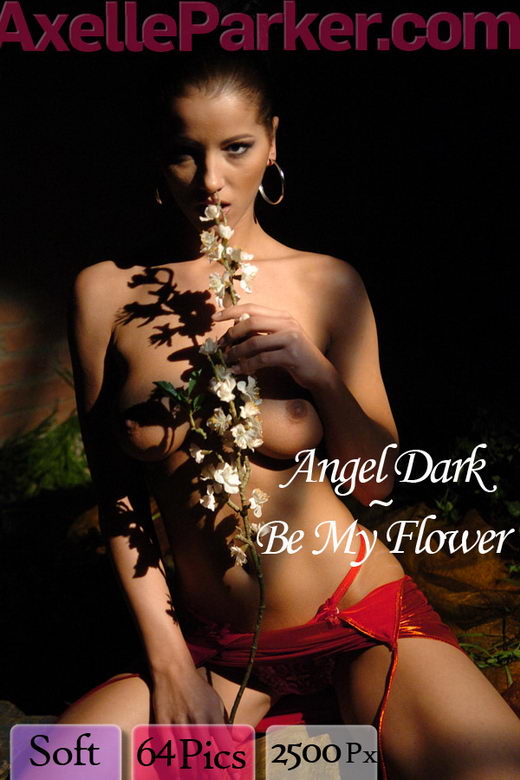 Angel Dark - `Be My Flower` - for AXELLE PARKER Angel Dark - `Be My Flower` - for AXELLE PARKER