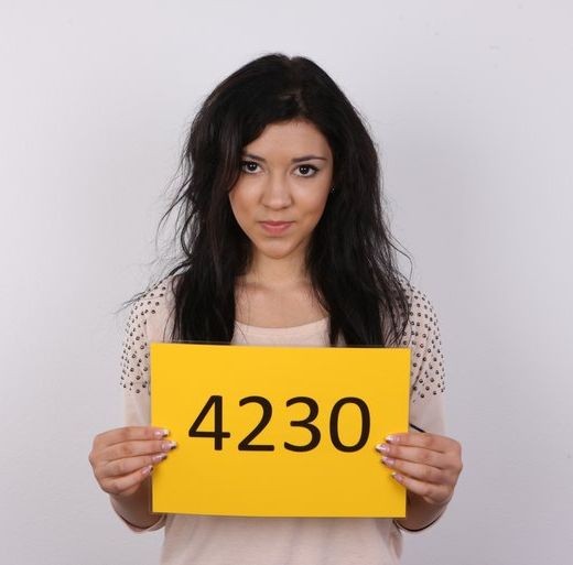 Ester - `4230` - for CZECHCASTING Ester - `4230` - for CZECHCASTING