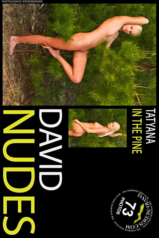 Tatyana - `In The Pine` - by David Weisenbarger for DAVID-NUDES Tatyana - `In The Pine` - by David Weisenbarger for DAVID-NUDES