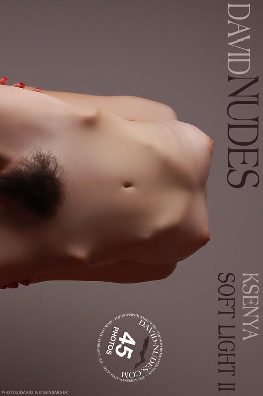 Ksenya - `Soft Light II` - by David Weisenbarger for DAVID-NUDES Ksenya - `Soft Light II` - by David Weisenbarger for DAVID-NUDES