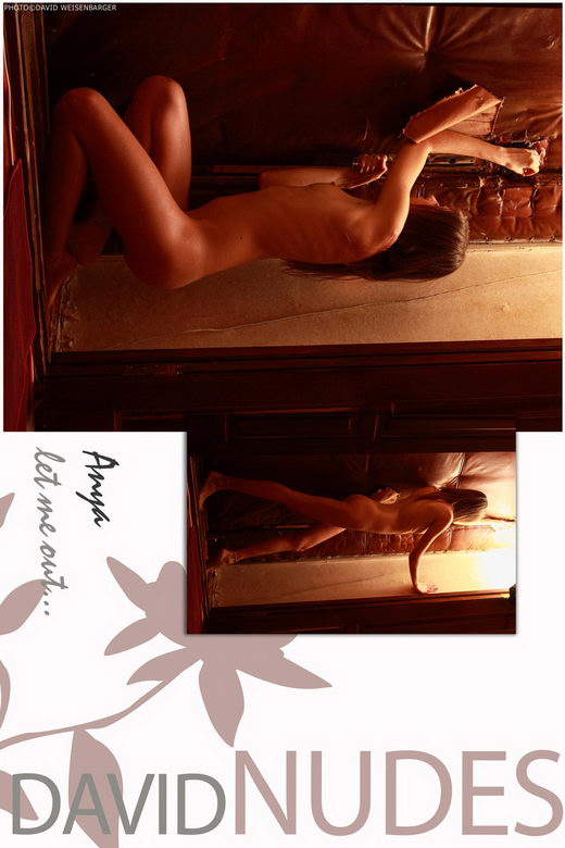 Anya - `Let me out...` - by David Weisenbarger for DAVID-NUDES Anya - `Let me out...` - by David Weisenbarger for DAVID-NUDES