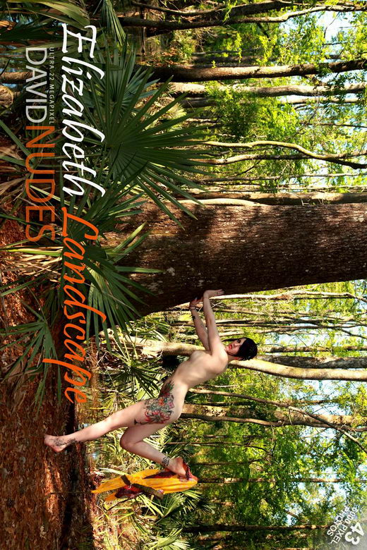 Elizabeth - `Landscape` - by David Weisenbarger for DAVID-NUDES Elizabeth - `Landscape` - by David Weisenbarger for DAVID-NUDES