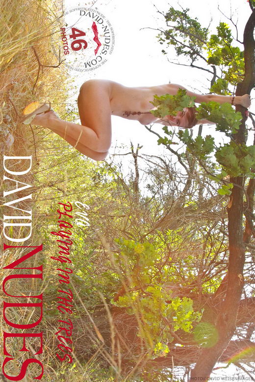 Eva - `Playing in the Trees` - by David Weisenbarger for DAVID-NUDES Eva - `Playing in the Trees` - by David Weisenbarger for DAVID-NUDES