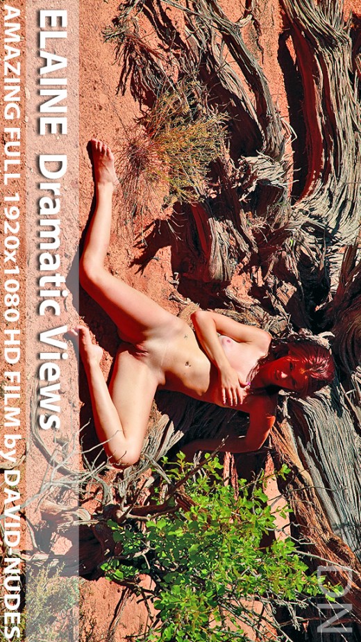 Elaine - `Dramatic Views` - by David Weisenbarger for DAVID-NUDES Elaine - `Dramatic Views` - by David Weisenbarger for DAVID-NUDES