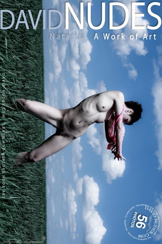 natasha - `A Work of Art` - by David Weisenbarger for DAVID-NUDES natasha - `A Work of Art` - by David Weisenbarger for DAVID-NUDES