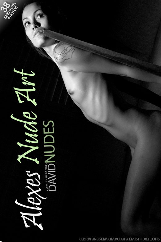 Alexes - `Nude Art` - by David Weisenbarger for DAVID-NUDES Alexes - `Nude Art` - by David Weisenbarger for DAVID-NUDES