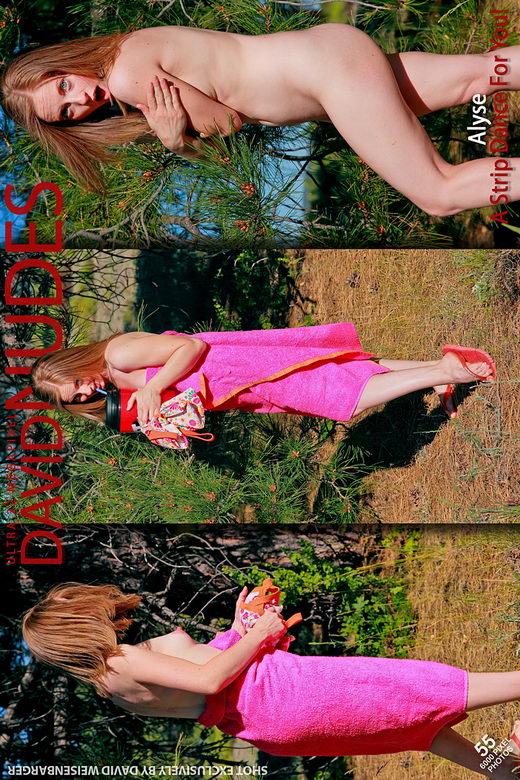 Alyse - `A Strip Dance For You` - by David Weisenbarger for DAVID-NUDES Alyse - `A Strip Dance For You` - by David Weisenbarger for DAVID-NUDES