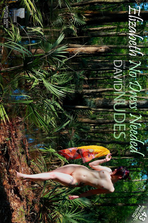 Elizabeth - `No Dress Needed` - by David Weisenbarger for DAVID-NUDES Elizabeth - `No Dress Needed` - by David Weisenbarger for DAVID-NUDES
