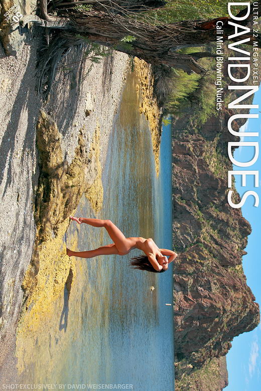 Cali - `Mind Blowing Nudes` - by David Weisenbarger for DAVID-NUDES Cali - `Mind Blowing Nudes` - by David Weisenbarger for DAVID-NUDES
