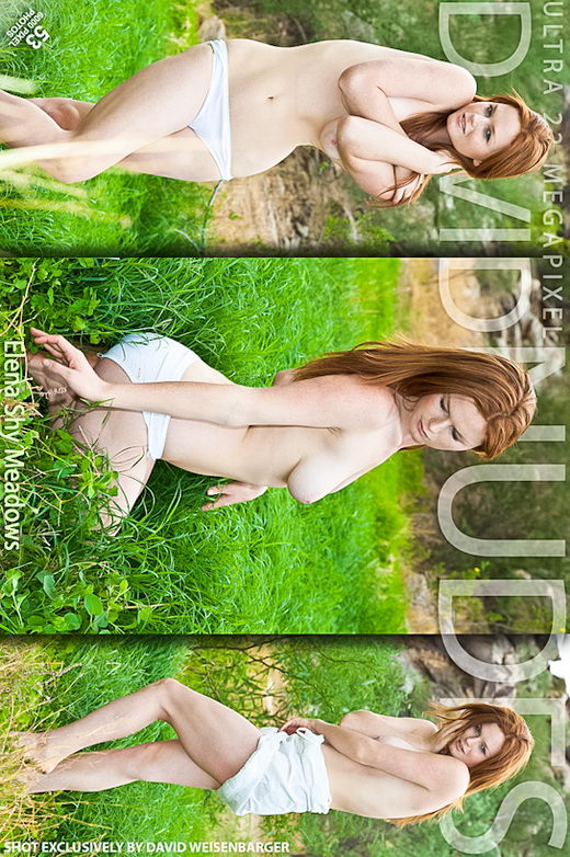 Elena - `Shy Meadows` - by David Weisenbarger for DAVID-NUDES Elena - `Shy Meadows` - by David Weisenbarger for DAVID-NUDES