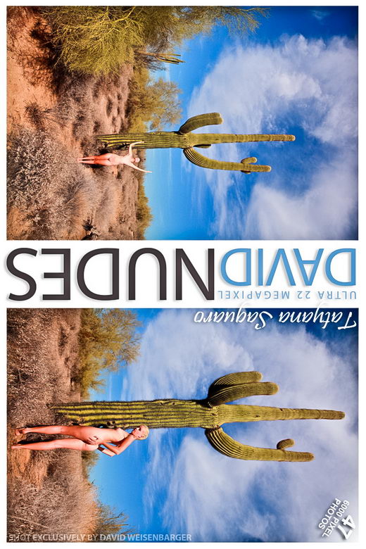 Tatyana - `Saguaro` - by David Weisenbarger for DAVID-NUDES Tatyana - `Saguaro` - by David Weisenbarger for DAVID-NUDES