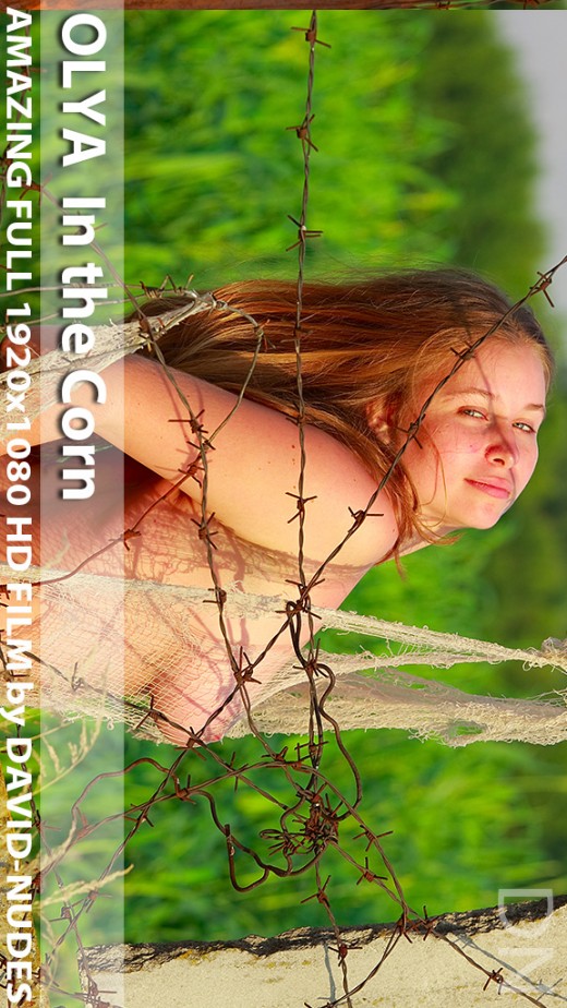 Olya - `In The Corn` - by David Weisenbarger for DAVID-NUDES Olya - `In The Corn` - by David Weisenbarger for DAVID-NUDES