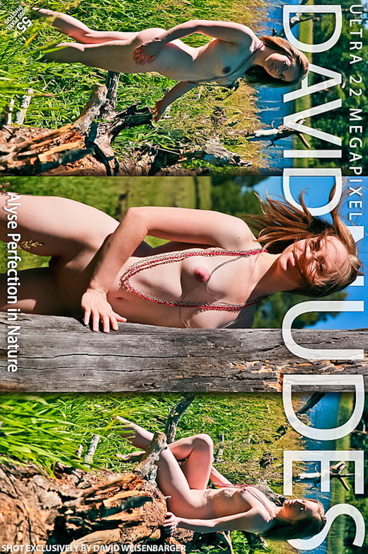 Alyse - `Perfection in Nature` - by David Weisenbarger for DAVID-NUDES Alyse - `Perfection in Nature` - by David Weisenbarger for DAVID-NUDES