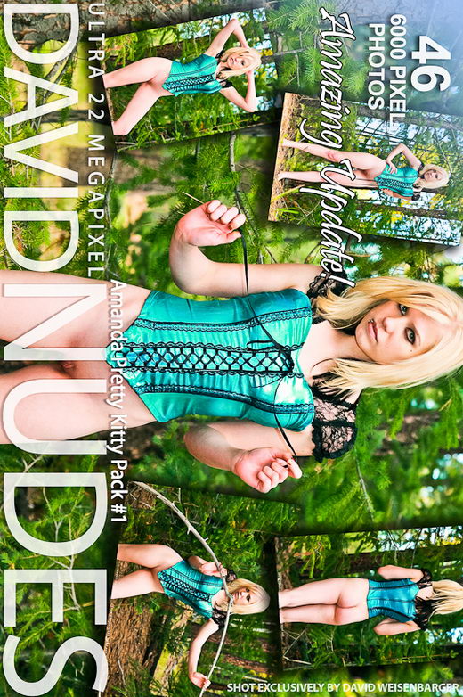 Amanda - `Pretty Kitty - Pack #1` - by David Weisenbarger for DAVID-NUDES Amanda - `Pretty Kitty - Pack #1` - by David Weisenbarger for DAVID-NUDES