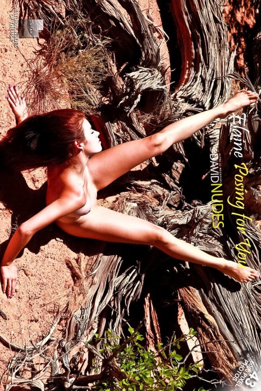 Elaine - `Posing For You` - by David Weisenbarger for DAVID-NUDES Elaine - `Posing For You` - by David Weisenbarger for DAVID-NUDES