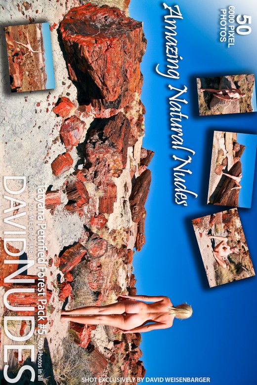 Tatyana - `Petrified Forest - Pack #5` - by David Weisenbarger for DAVID-NUDES Tatyana - `Petrified Forest - Pack #5` - by David Weisenbarger for DAVID-NUDES