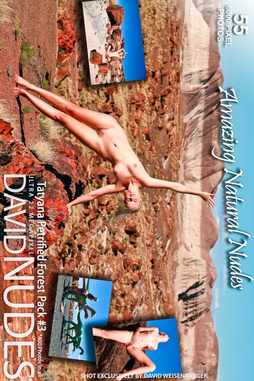 Tatyana - `Petrified Forest - Pack #3` - by David Weisenbarger for DAVID-NUDES Tatyana - `Petrified Forest - Pack #3` - by David Weisenbarger for DAVID-NUDES