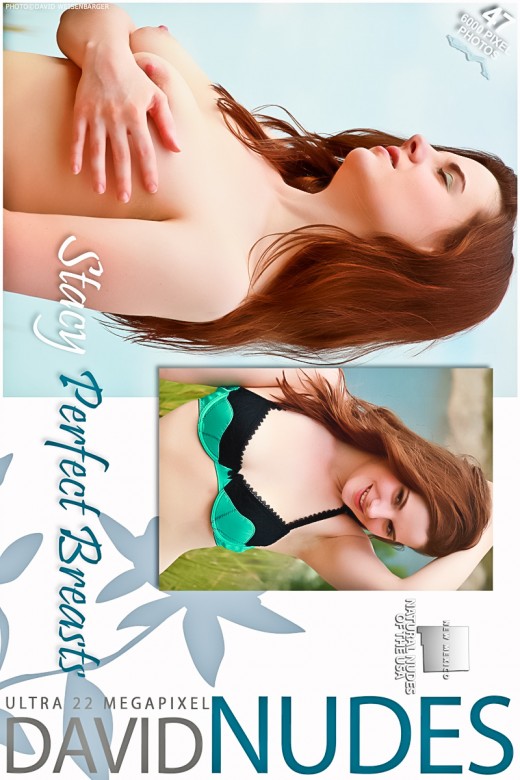 Stacy - `Perfect Breasts` - by David Weisenbarger for DAVID-NUDES Stacy - `Perfect Breasts` - by David Weisenbarger for DAVID-NUDES