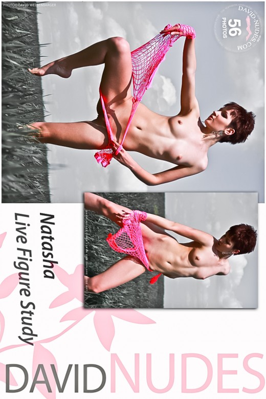 Natasha - `Live Figure Study` - by David Weisenbarger for DAVID-NUDES Natasha - `Live Figure Study` - by David Weisenbarger for DAVID-NUDES