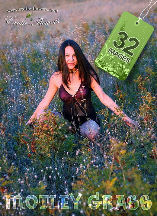 Hanuma - `Motley Grass` - for EROTIC-FLOWERS Hanuma - `Motley Grass` - for EROTIC-FLOWERS
