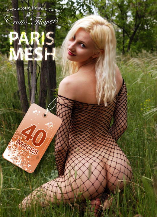 Paris - `Mesh` - for EROTIC-FLOWERS Paris - `Mesh` - for EROTIC-FLOWERS