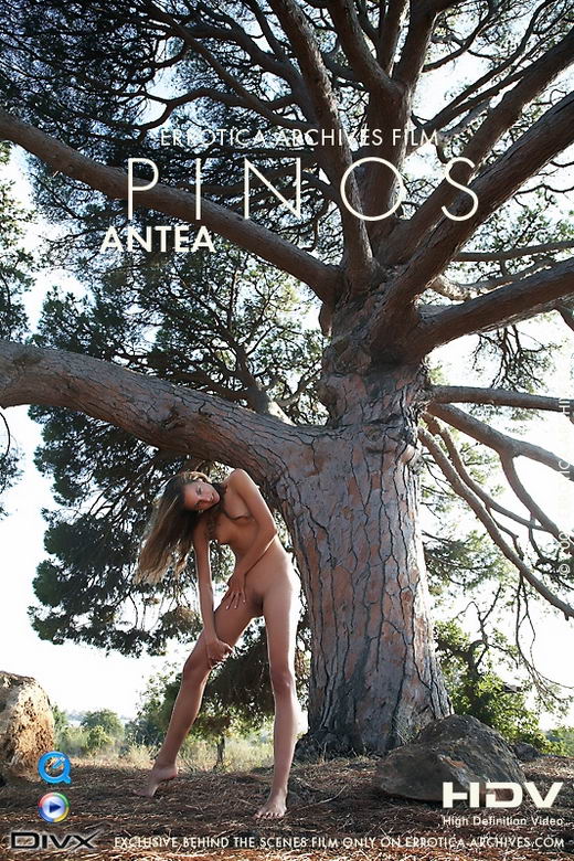 Antea - `Pinos` - by Erro for ERRO-ARCH MOVIES Antea - `Pinos` - by Erro for ERRO-ARCH MOVIES
