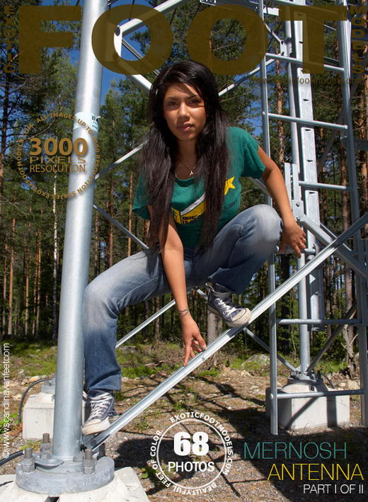 Mernosh - `Antenna - Part 1` - for EXOTICFOOTMODELS Mernosh - `Antenna - Part 1` - for EXOTICFOOTMODELS
