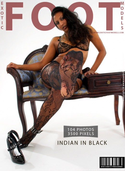 Cheetah - `Indian In Black` - for EXOTICFOOTMODELS Cheetah - `Indian In Black` - for EXOTICFOOTMODELS