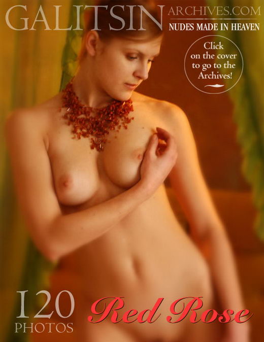 `Red Rose` - by Galitsin for GALITSIN-ARCHIVES `Red Rose` - by Galitsin for GALITSIN-ARCHIVES