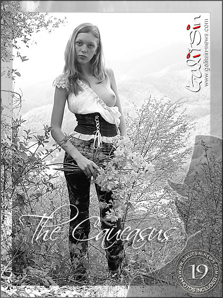 Olea - `Caucasus` - by Galitsin for GALITSIN-NEWS Olea - `Caucasus` - by Galitsin for GALITSIN-NEWS