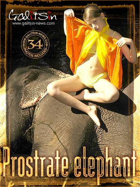 Valentina - `Prostrate Elephant` - by Galitsin for GALITSIN-NEWS Valentina - `Prostrate Elephant` - by Galitsin for GALITSIN-NEWS