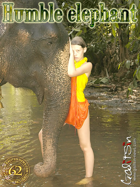 Valentina - `Humble Elephant` - by Galitsin for GALITSIN-NEWS Valentina - `Humble Elephant` - by Galitsin for GALITSIN-NEWS