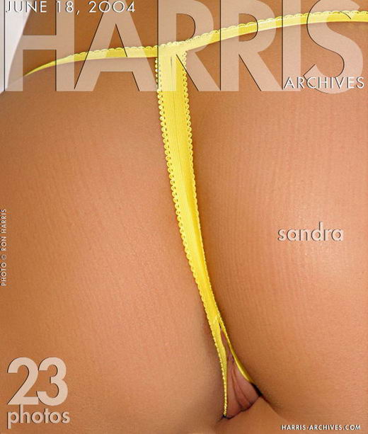 Sandra - `Yellow` - by Ron Harris for HARRIS-ARCHIVES Sandra - `Yellow` - by Ron Harris for HARRIS-ARCHIVES