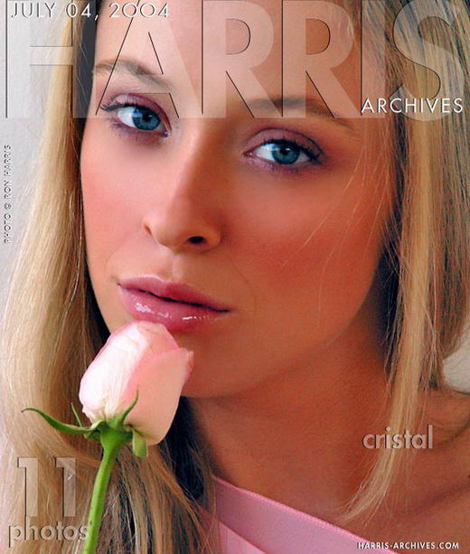 Cristal - `Pink Rose` - by Ron Harris for HARRIS-ARCHIVES Cristal - `Pink Rose` - by Ron Harris for HARRIS-ARCHIVES