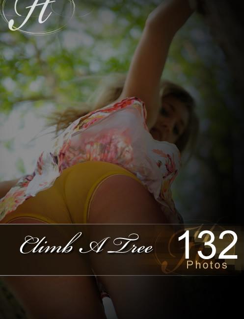 Hayley Marie - `Climb A Tree` - for HAYLEYS SECRETS Hayley Marie - `Climb A Tree` - for HAYLEYS SECRETS