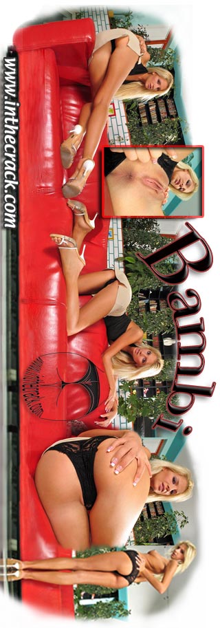 Bambi - `#055 - Budapest Hungary` - for INTHECRACK Bambi - `#055 - Budapest Hungary` - for INTHECRACK
