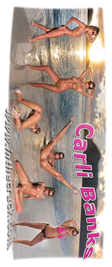 Carli Banks - `#247 - Guana Island British Virgin Islands` - for INTHECRACK Carli Banks - `#247 - Guana Island British Virgin Islands` - for INTHECRACK