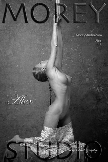 Alex - `C1` - by Craig Morey for MOREYSTUDIOS Alex - `C1` - by Craig Morey for MOREYSTUDIOS
