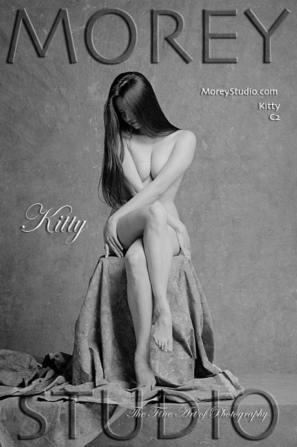 Kitty - `C2` - by Craig Morey for MOREYSTUDIOS Kitty - `C2` - by Craig Morey for MOREYSTUDIOS