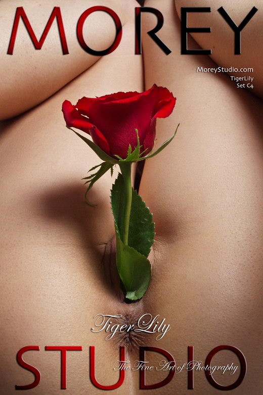 Tiger Lily - `C4` - by Craig Morey for MOREYSTUDIOS Tiger Lily - `C4` - by Craig Morey for MOREYSTUDIOS