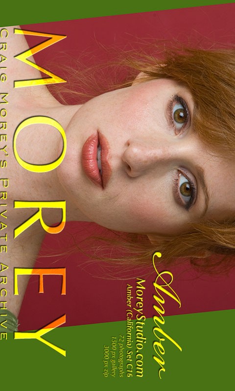 Amber - `C16` - by Craig Morey for MOREYSTUDIOS2 Amber - `C16` - by Craig Morey for MOREYSTUDIOS2