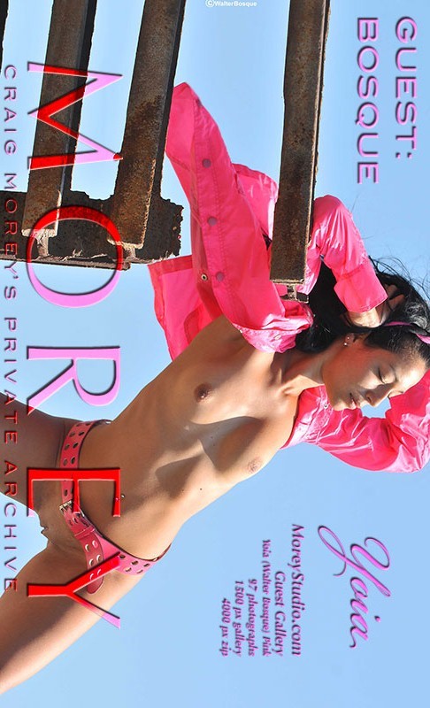 Yoia - `Guest Gallery (Walter Bosque) - Pink` - by Walter Bosque for MOREYSTUDIOS2 Yoia - `Guest Gallery (Walter Bosque) - Pink` - by Walter Bosque for MOREYSTUDIOS2