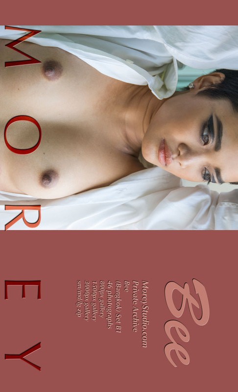 Bee - `B1` - by Craig Morey for MOREYSTUDIOS2 Bee - `B1` - by Craig Morey for MOREYSTUDIOS2