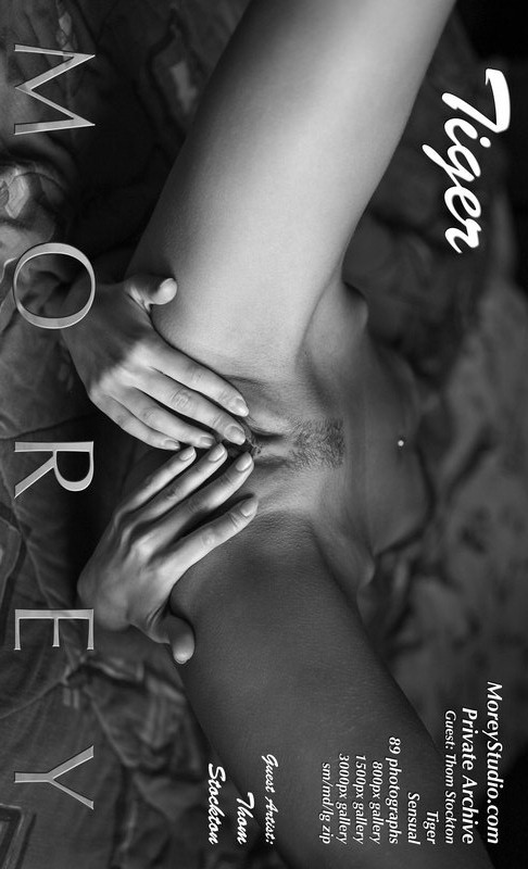 Tiger - `Guest Gallery ( Thom Stockton ) - Sensual` - by Thom Stockton for MOREYSTUDIOS2 Tiger - `Guest Gallery ( Thom Stockton ) - Sensual` - by Thom Stockton for MOREYSTUDIOS2