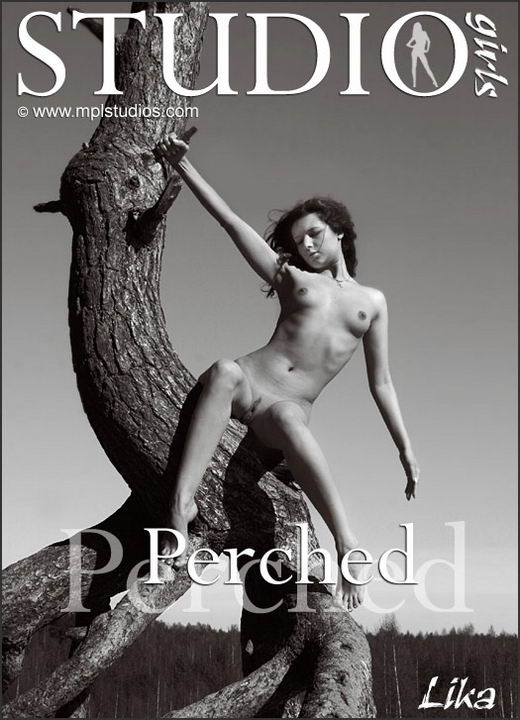 Lika - `Perched` - by Alexander Fedorov for MPLSTUDIOS Lika - `Perched` - by Alexander Fedorov for MPLSTUDIOS