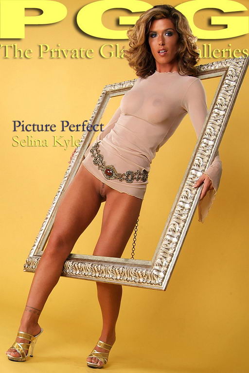 Selina Kyle - `Picture Perfect` - for MYPRIVATEGLAMOUR Selina Kyle - `Picture Perfect` - for MYPRIVATEGLAMOUR